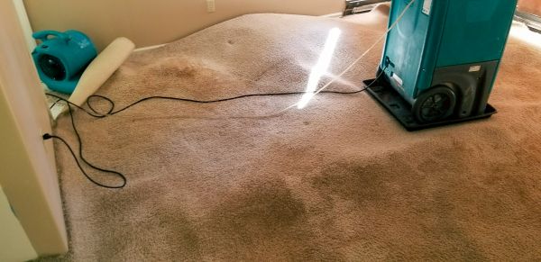 Cost of Flood Damage Cleanup in San Rafael