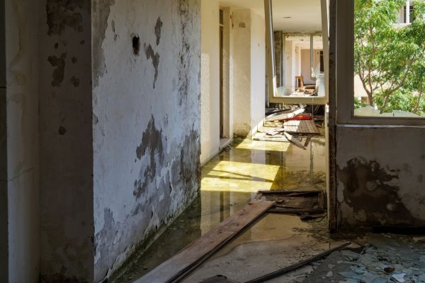 Cost of Water Removal Service in San Rafael