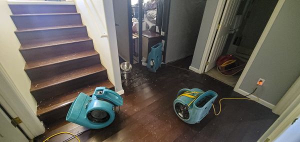 Water Damage Remediation in San Rafael