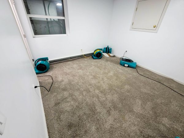 Flood Restoration Service in San Rafael