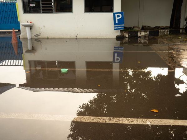 Cost of Storm Damage Repair in San Rafael