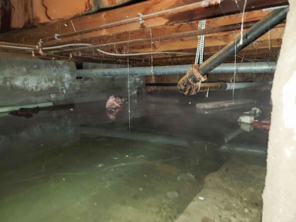 Crawl Space Drying in San Rafael