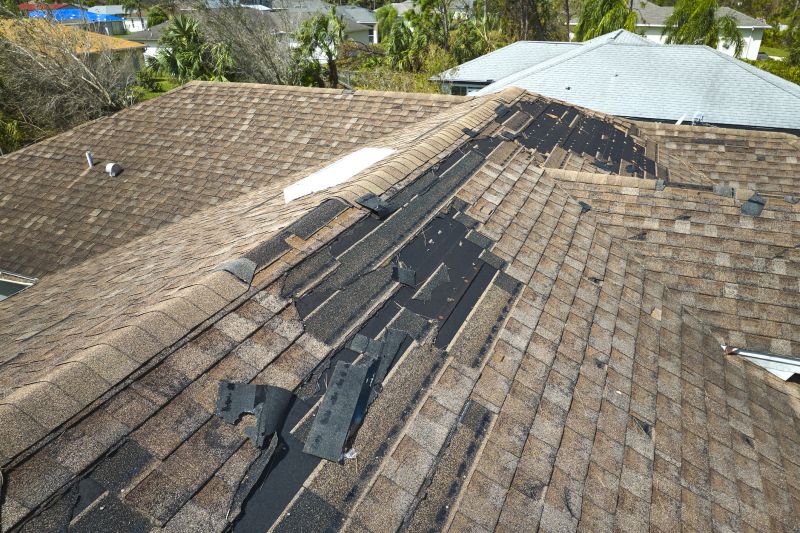 Roof Repair Process