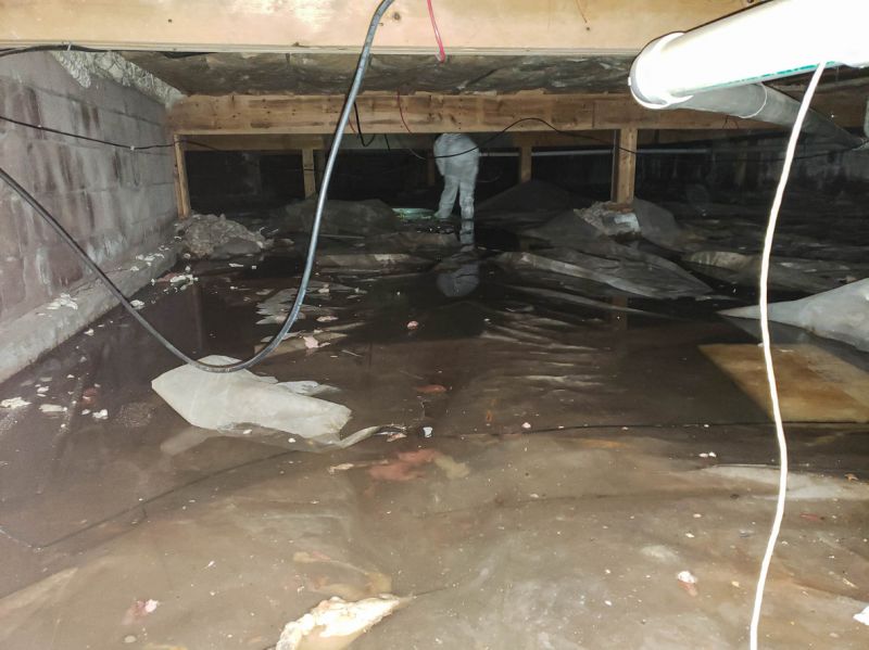 Water Damage Restoration Team
